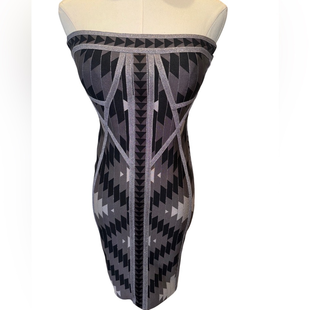 Herve Leger Dress